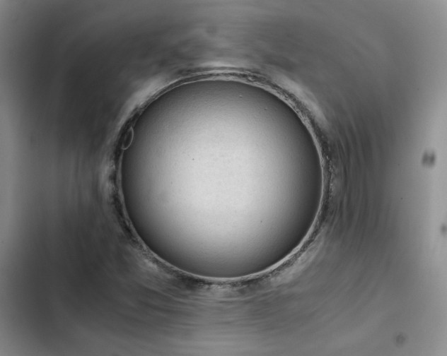 X0000103161357200808221344