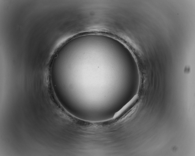 X0000103161358200808221344