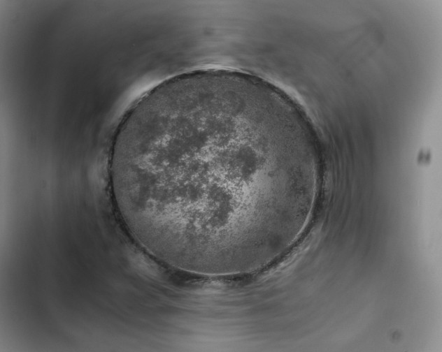 X0000103161359200808221344