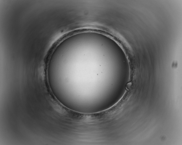 X0000103161360200808221344