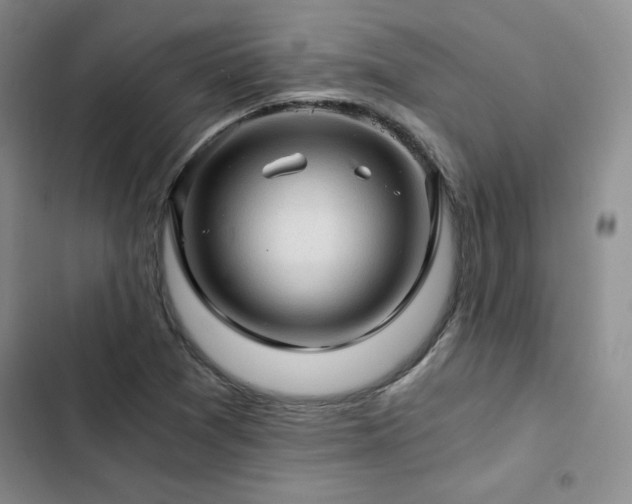 X0000103161361200808221344