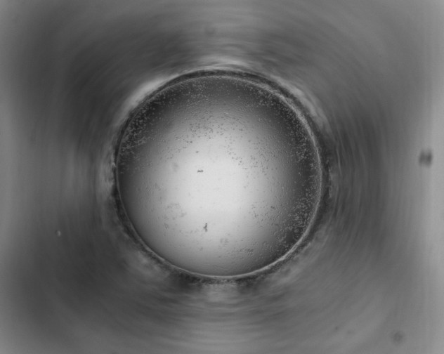 X0000103161363200808221344