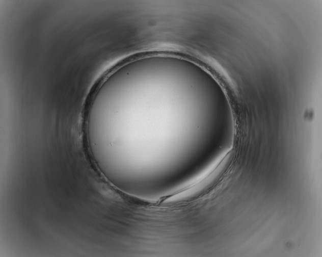 X0000103161364200808221344