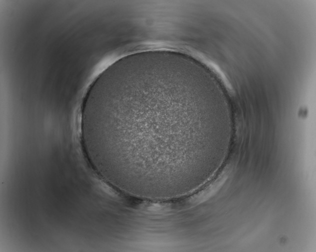 X0000103161365200808221344