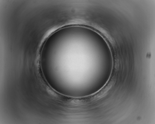 X0000103161366200808221344