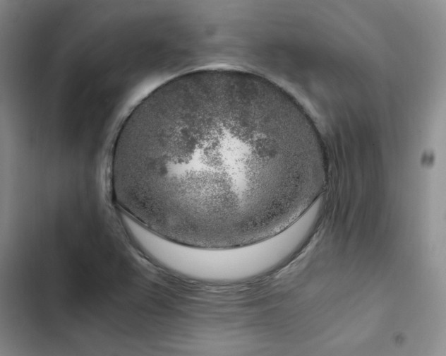X0000103161367200808221344