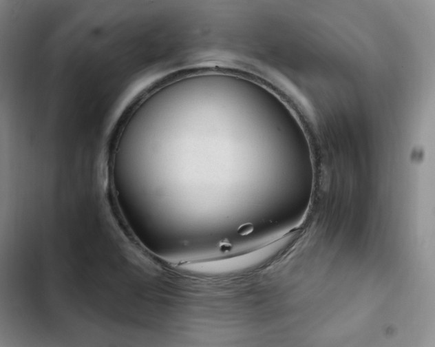 X0000103161368200808221344