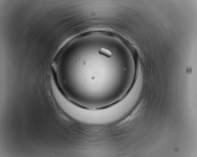 X0000103161369200808221344