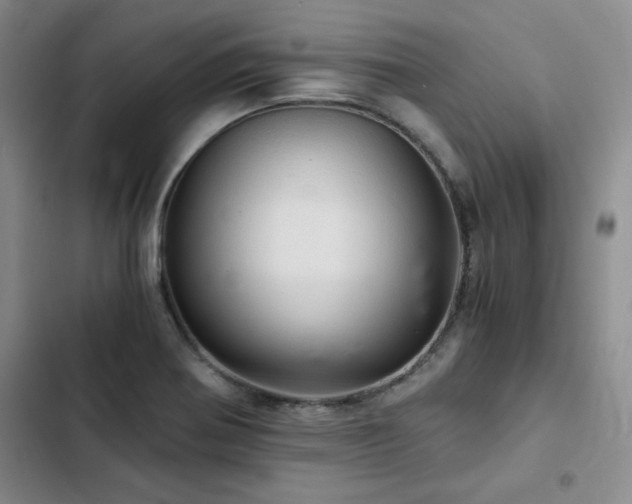 X0000103161370200808221344