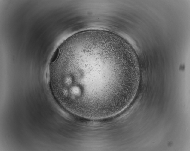X0000103161371200808221344