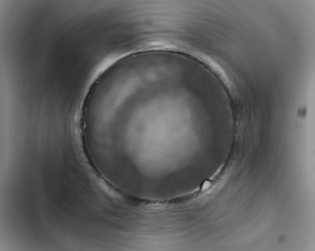 X0000103161373200808221344