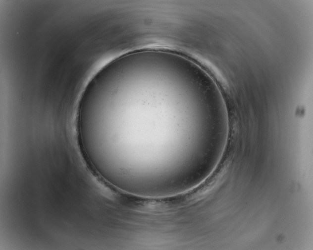 X0000103161375200808221344