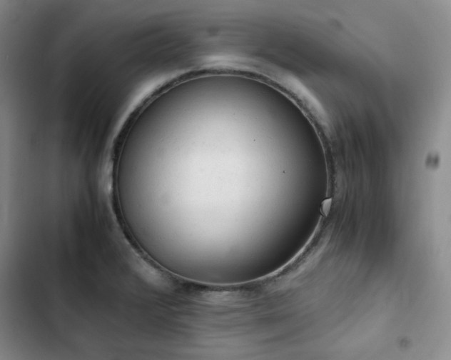 X0000103161376200808221344