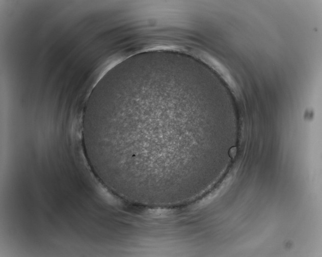 X0000103161377200808221344