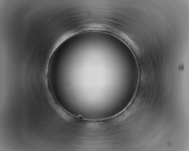 X0000103161378200808221344