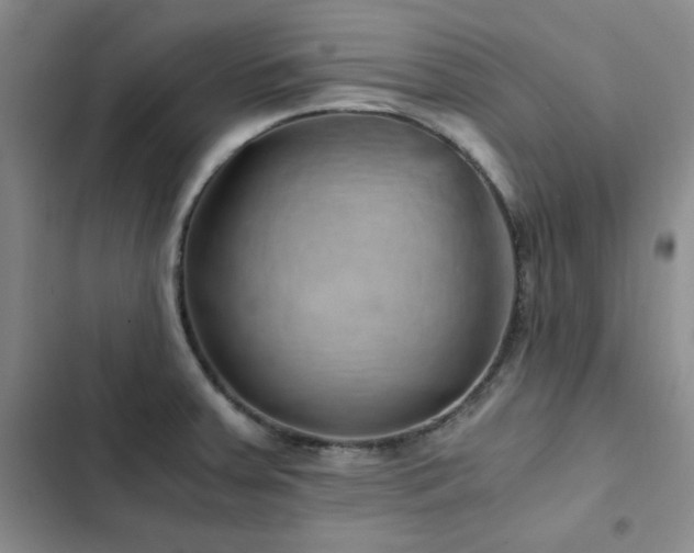 X0000103161379200808221344