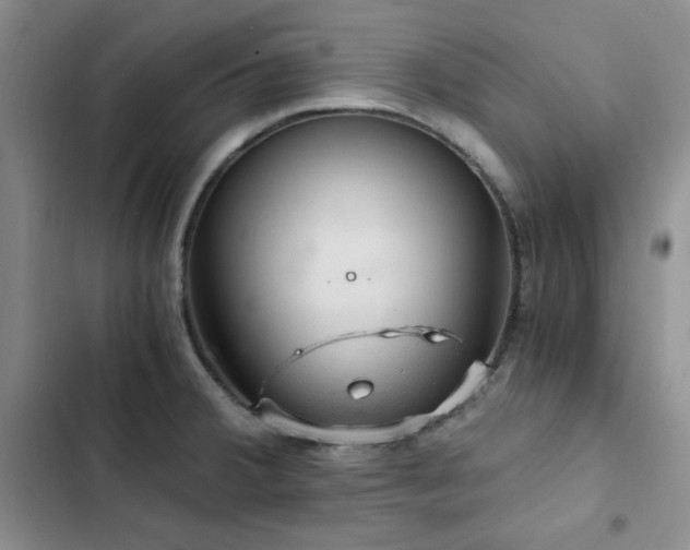 X0000103161380200808221344