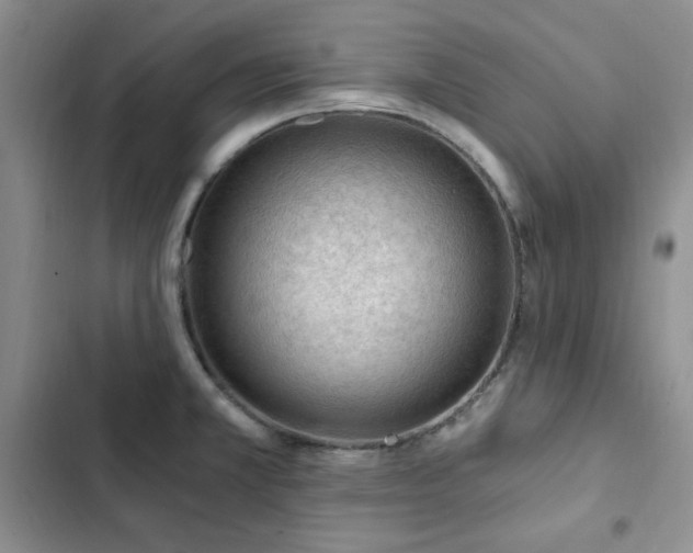 X0000103161381200808221344