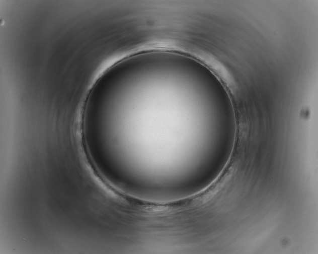 X0000103161382200808221344