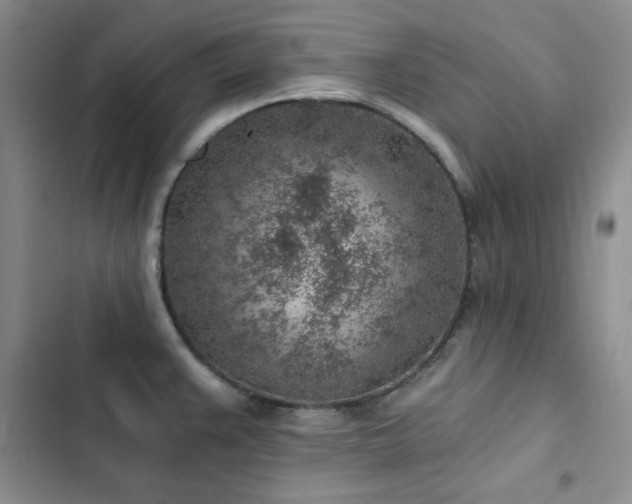X0000103161383200808221344