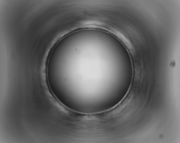 X0000103161384200808221344
