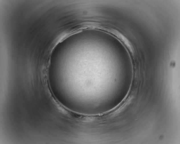 X0000103161385200808221344