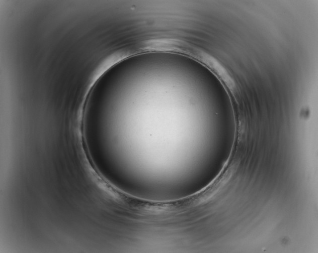 X0000103161386200808221344