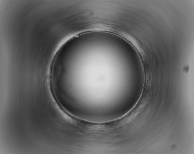 X0000103161387200808221344