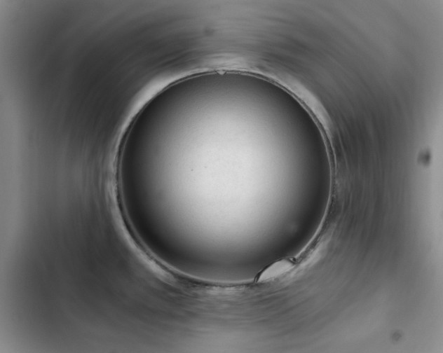 X0000103161389200808221344