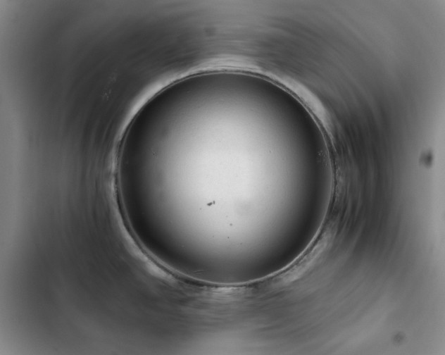X0000103161390200808221344