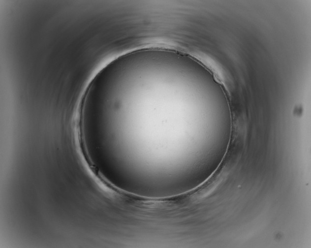 X0000103161391200808221344