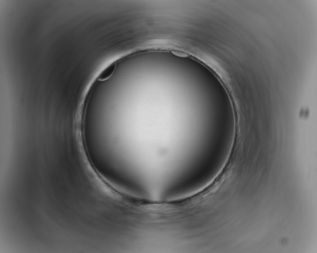 X0000103161392200808221344