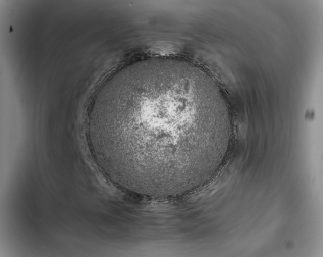 X0000103161393200808221343