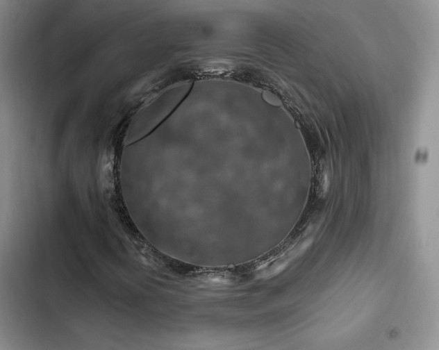 X0000103161394200808221343