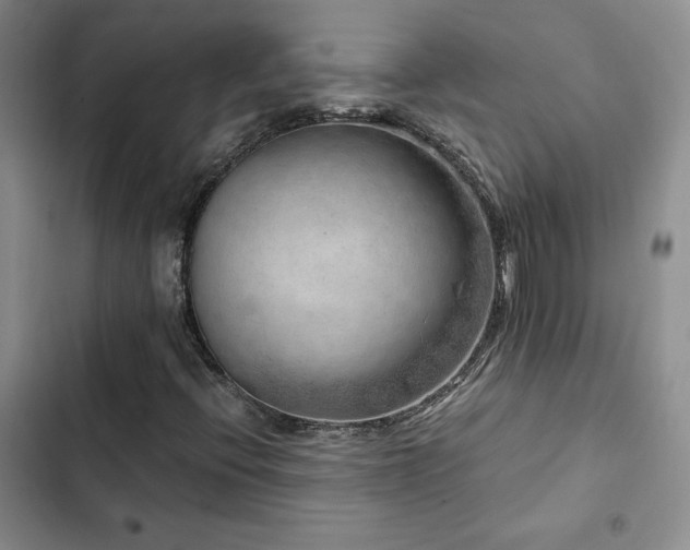 X0000103161396200808221343