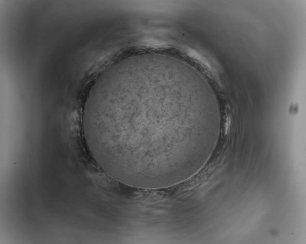 X0000103161397200808221343