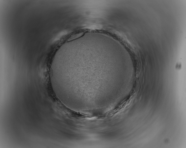 X0000103161398200808221343