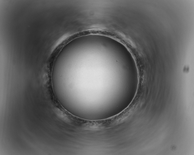 X0000103161400200808221343