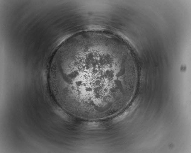 X0000103161401200808221343