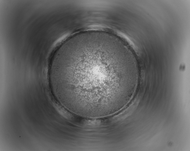 X0000103161403200808221343