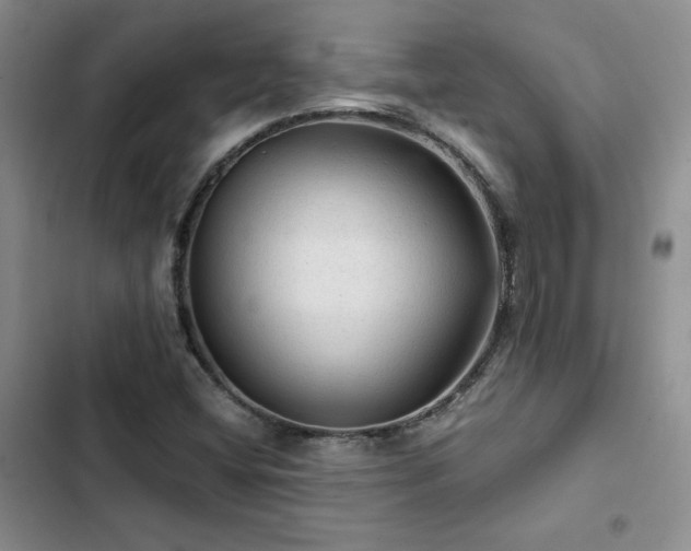 X0000103161404200808221343