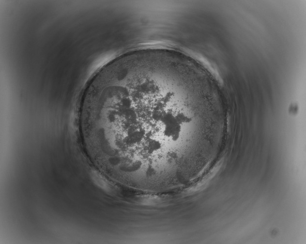 X0000103161405200808221343