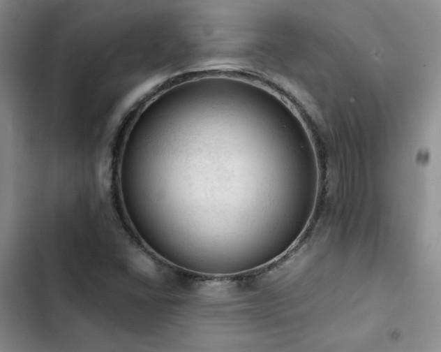 X0000103161406200808221343