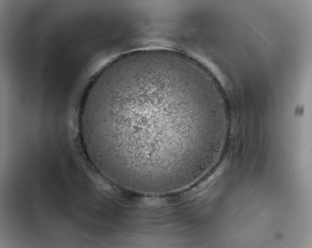 X0000103161407200808221343