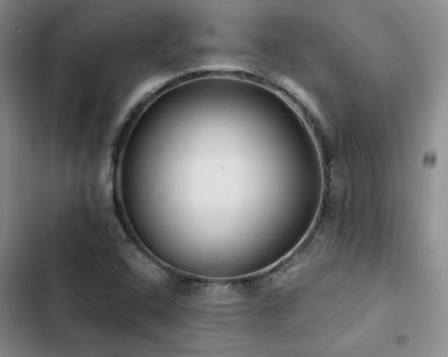X0000103161408200808221343