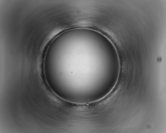 X0000103161410200808221343