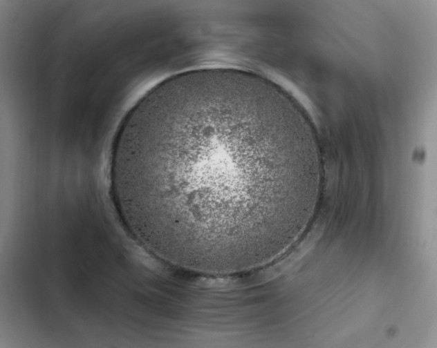 X0000103161415200808221343