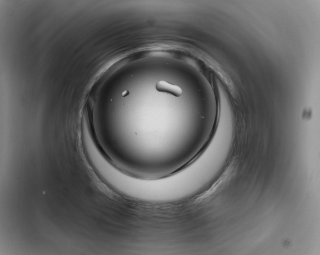 X0000103161417200808221343