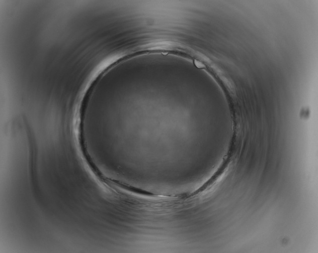 X0000103161418200808221343