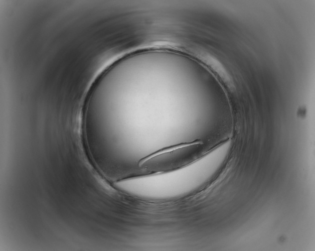 X0000103161420200808221343